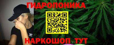 apvp Краснодар