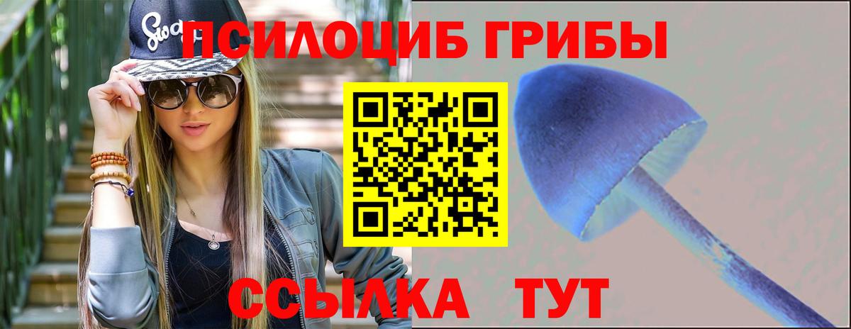 Псилоцибиновые грибы Psilocybe Арзамас
